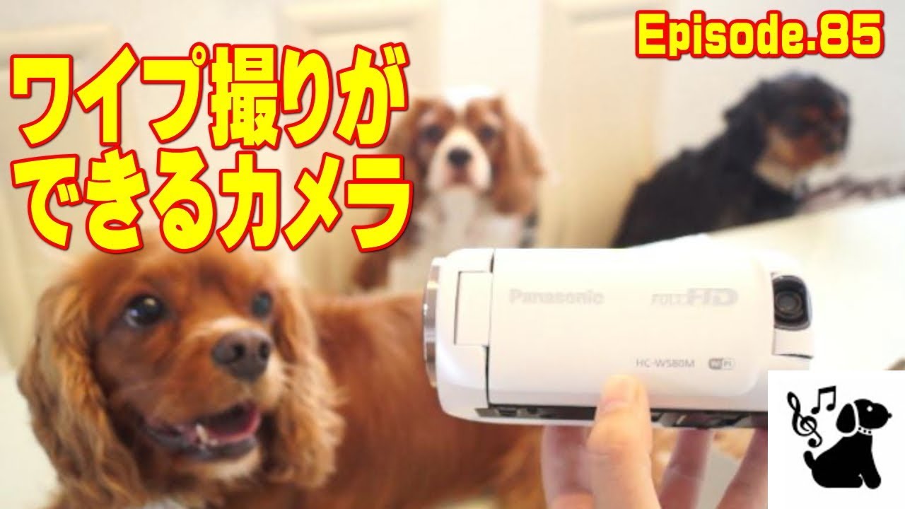 Panasonic HC-W580M デジタハイビジョンカメラ ワイプ撮り