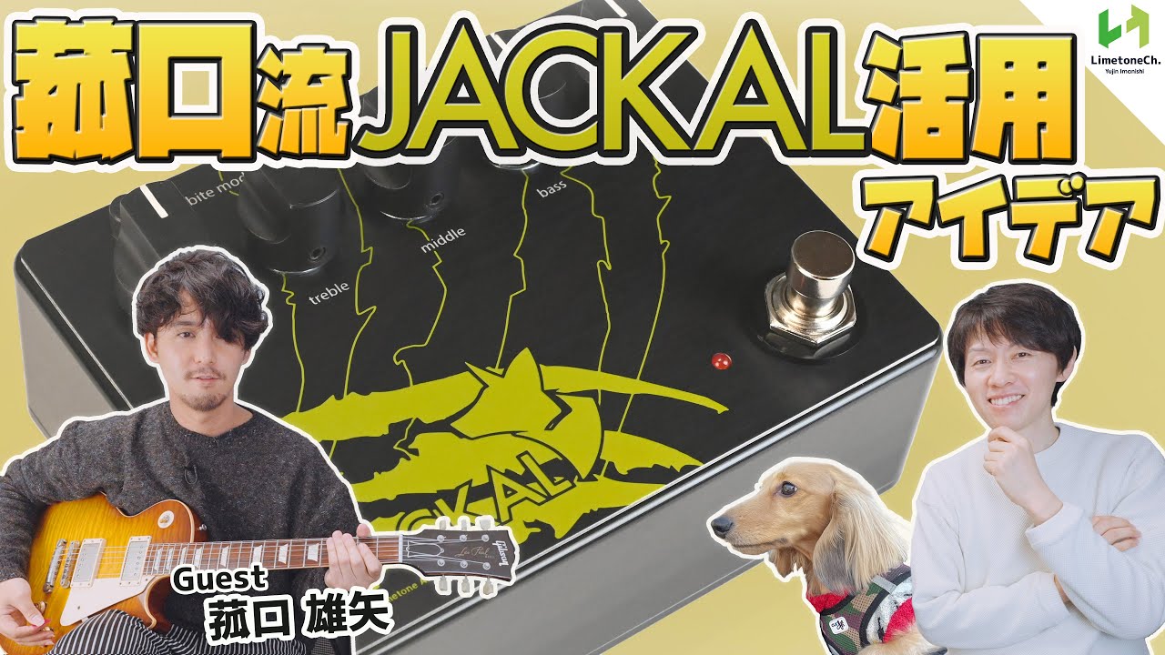 JACKAL | Limetone Audio