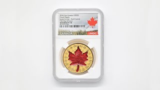 日本独占販売 2024 カナダ エリザベス2世 メイプルリーフ 200カナダ