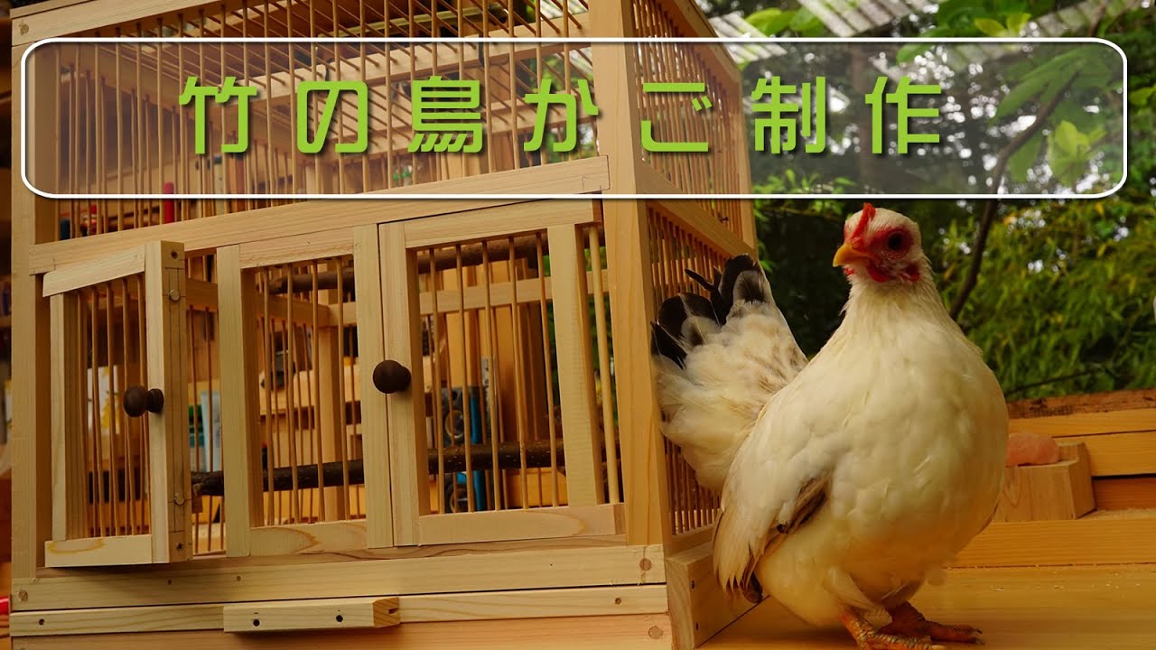 竹の鳥かご制作 - YouTube