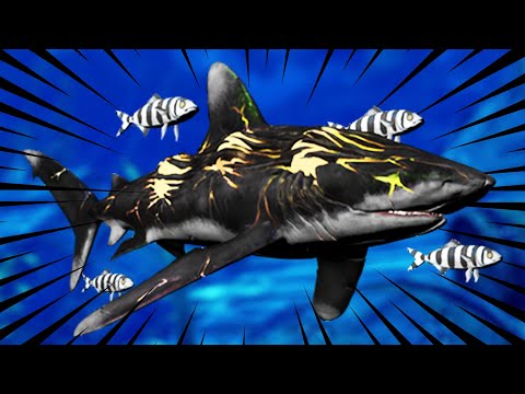 I Got The RAREST Skin In Depth - YouTube