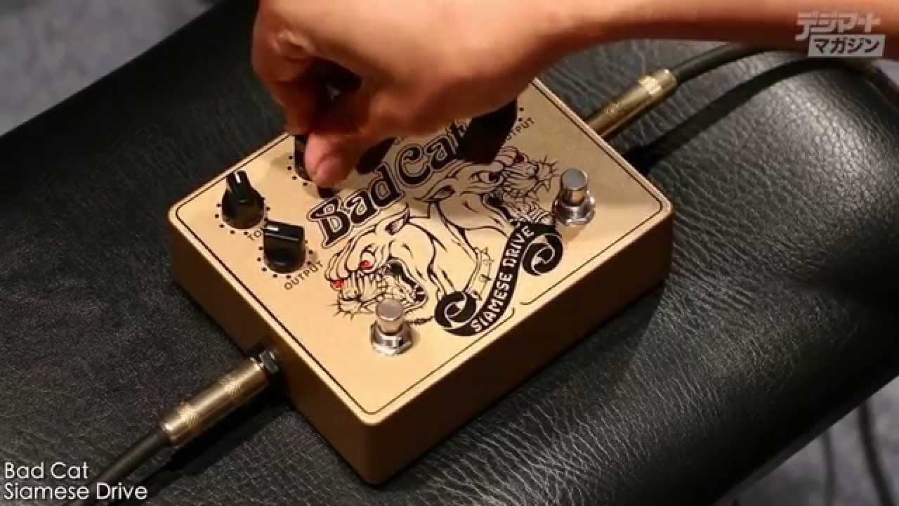 Bad Cat / SIAMESE DRIVE【デジマート製品レビュー】 - YouTube