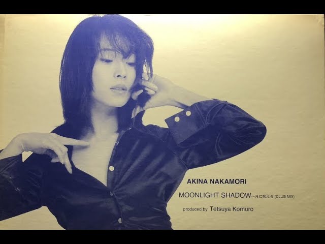 中森明菜】おばちゃんが歌う MOONLIGHT SHADOW ～月に吠えろ～＜歌詞