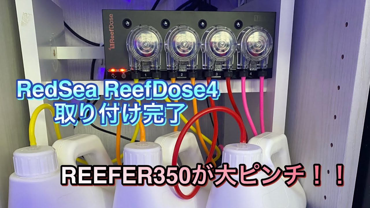 ReefDose4【RedSea】取り付け完了♪ そして、REEFER350に異常発生