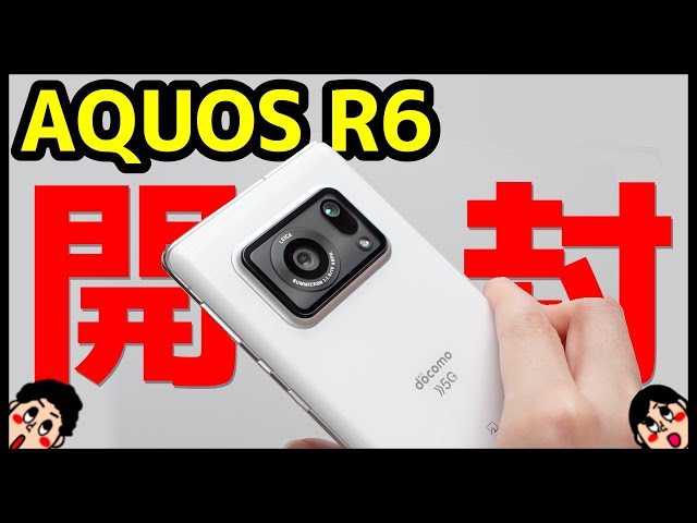陽*菜様 10560 AQUOS R6 AQUOS_R6.jpg