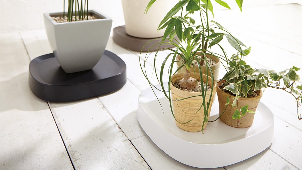 tidy｜プランタブル S | KONCENT Web shop｜アッシュコンセプト公式