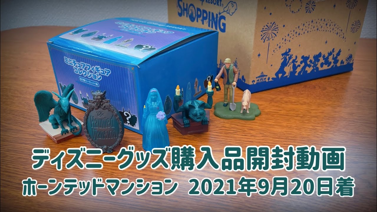 購入品紹介】ディズニーグッズ 開封動画 ホーンテッドマンション 2021