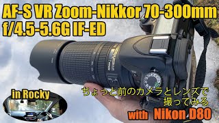 I took this photo with the AF-S VR Zoom Nikkor 70-300mm f/4.5-5.6G