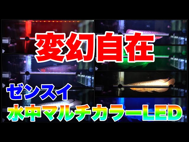 Underwater Light Review] Zensui's new product! I tried out the