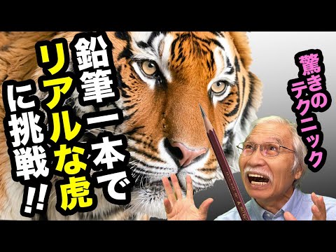 Eng sub] Easy! Draw a Realistic Tiger with Just a Pencil