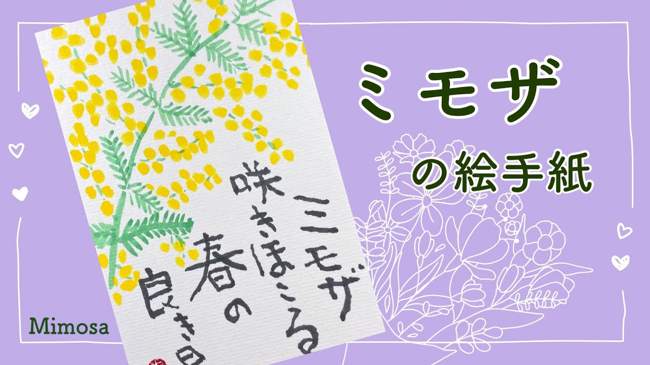 Mimosa etegami