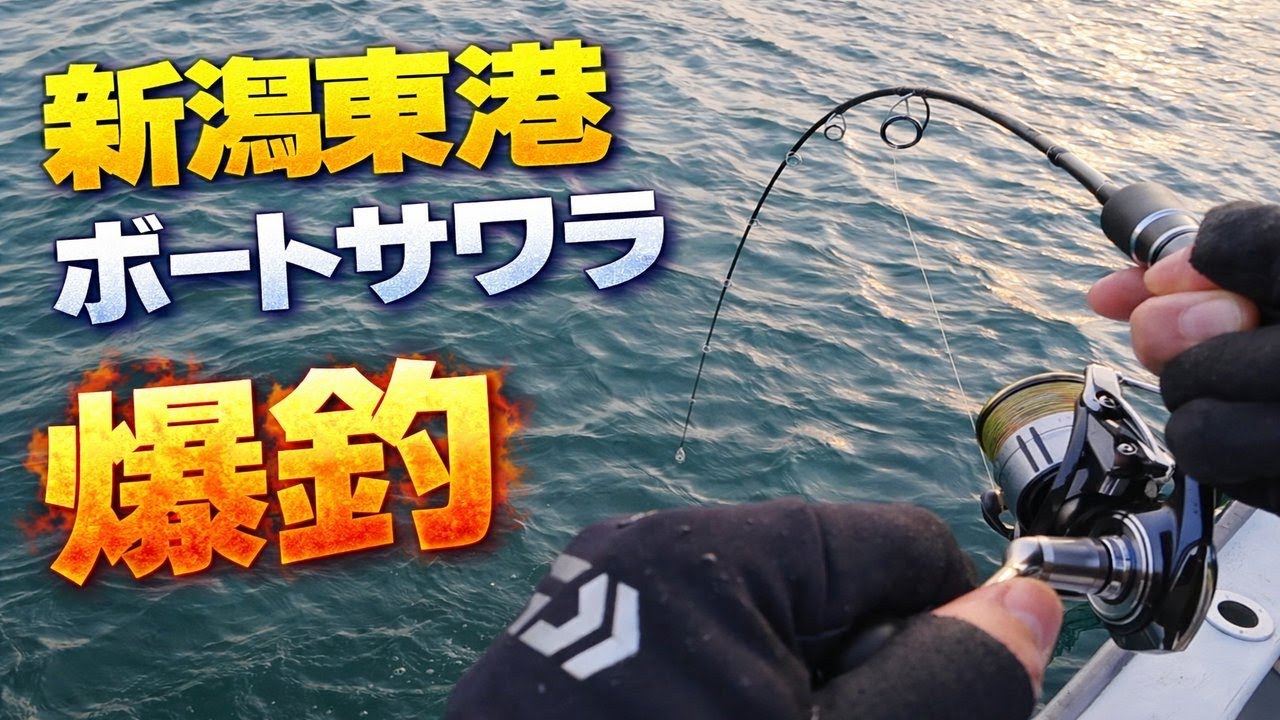 衝撃】新潟東港のポテンシャルが凄すぎる！ジャーキングで狙う、ボート