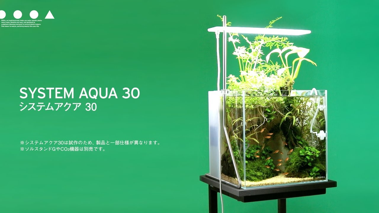 ADAview] DOOA システムアクア30 レイアウト実践編 - YouTube