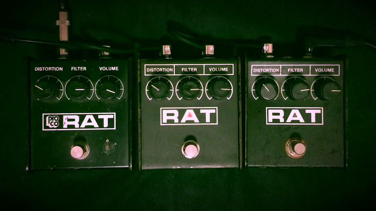 PROCO RATをレビュー！年代別の見分け方とサウンドを比較してみた