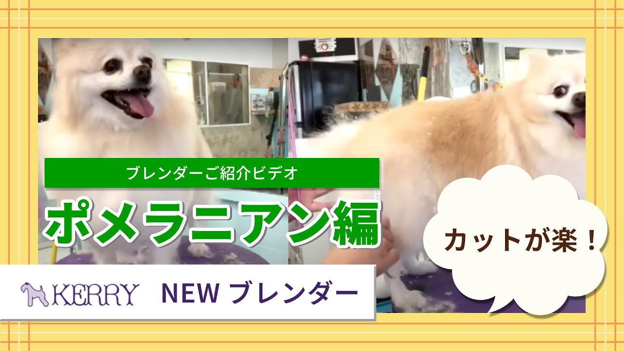 ケリー ブレンダー 6.8-15GSY-80* - ワンクスオンラインショップ