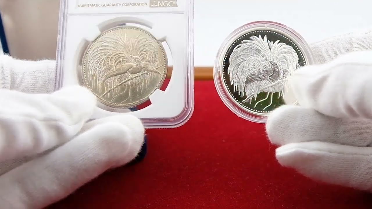 JCC | ジャパンコインキャビネット / パプアニューギニア 1994年 5キナ