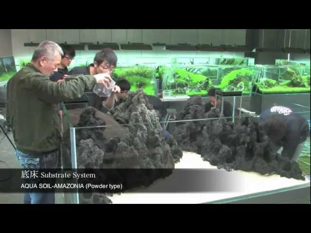 雲山石と佗び草のレイアウト 【前編】 An aquascape with Unzan stone