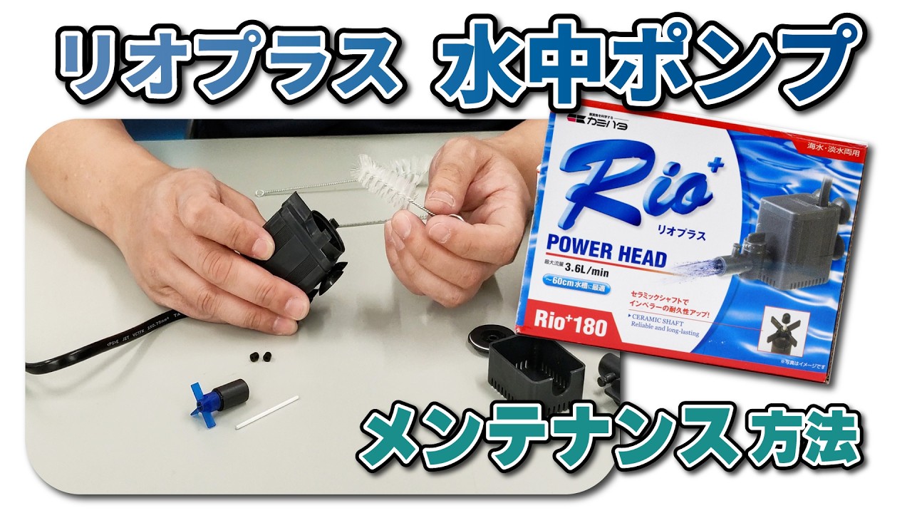 リオプラスパワーヘッド 50～3100 50hz・60hz：Rio+パワーヘッド：Rio