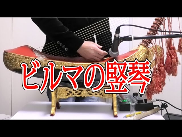 Myanmar folk instrument Saung Gauk performance | Playing the