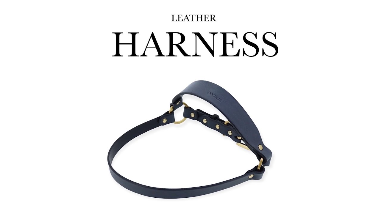 mmsu-haオリジナルレザーハーネス/革胴輪/オーダーメニュー/最高級牛革使用