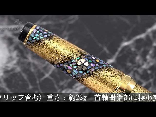 SAILOR セーラー 万年筆 プロフェッショナルギア 内閣総理大臣特別慰労