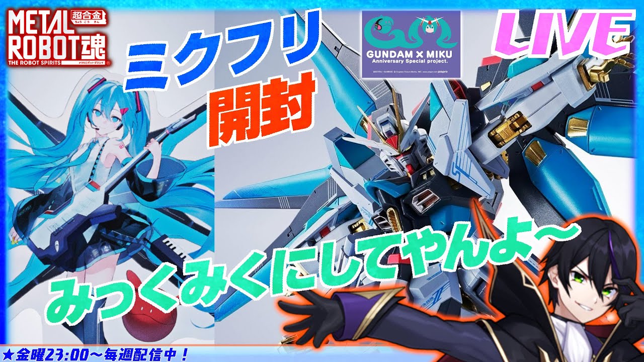 メタルロボット魂】ストライクフリーダムガンダム弐式 ［初音ミク Ver