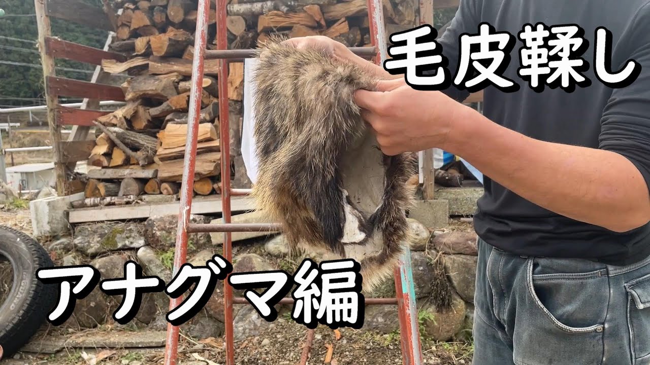 毛皮】アナグマの皮鞣し【絨毯】 - YouTube