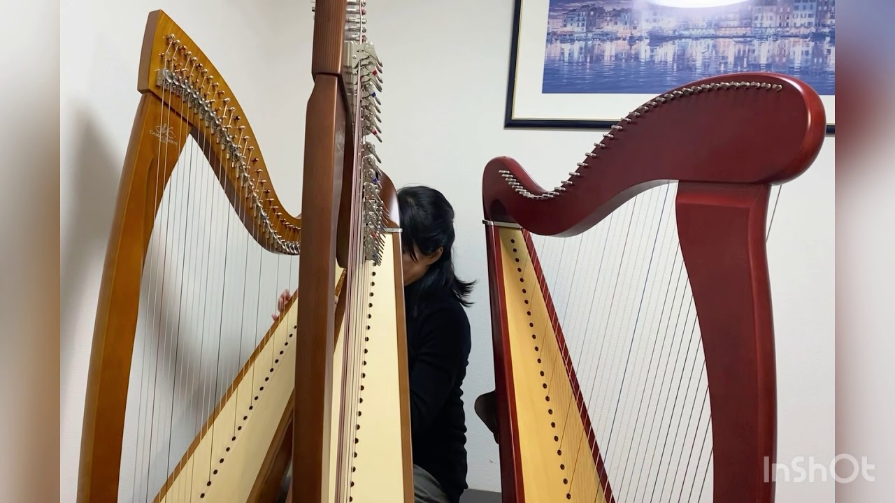 Camac harps 38弦モデル比較【高田ハープサロン】 - YouTube