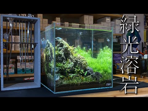 無濾過水槽】30cmキューブ水槽を溶岩と水草でレイアウト立ち上げ〜in