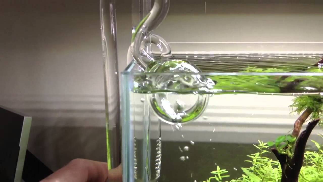 ADA lily pipe spin - YouTube
