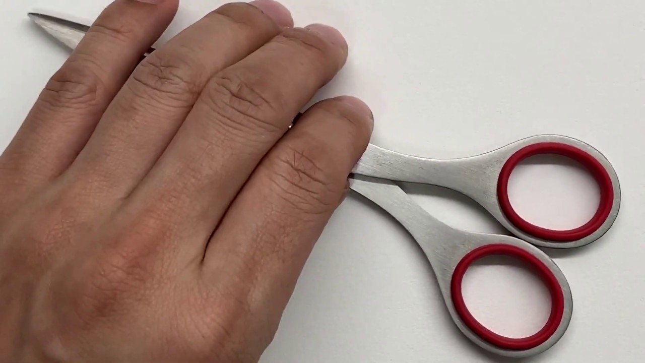 廃盤 ALLEX RAKUSHISYA 落柿舎 三角形 ハサミ 鋏 デザイン 箱 廃盤