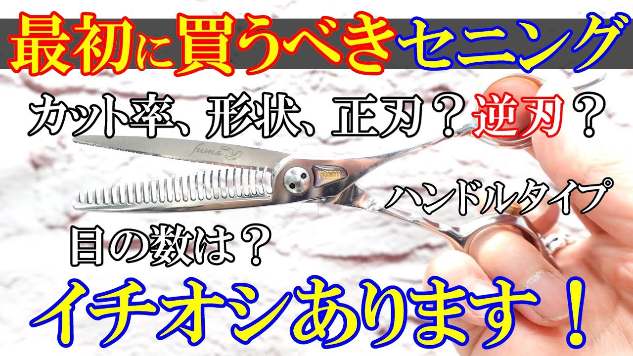 超ハイスペック セニング トギノン ダイナザウルス 70％セニングの