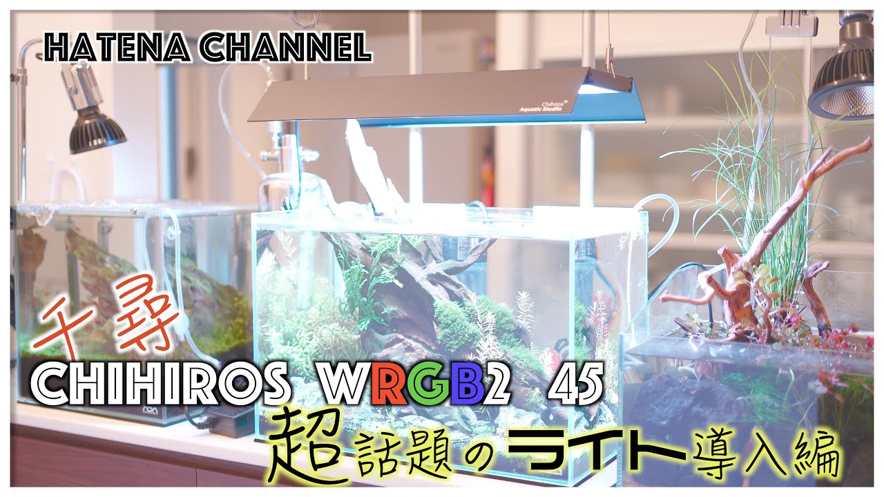 話題沸騰】Chihiros wrgb2 45 ADAを超える？話題のライトを設置して