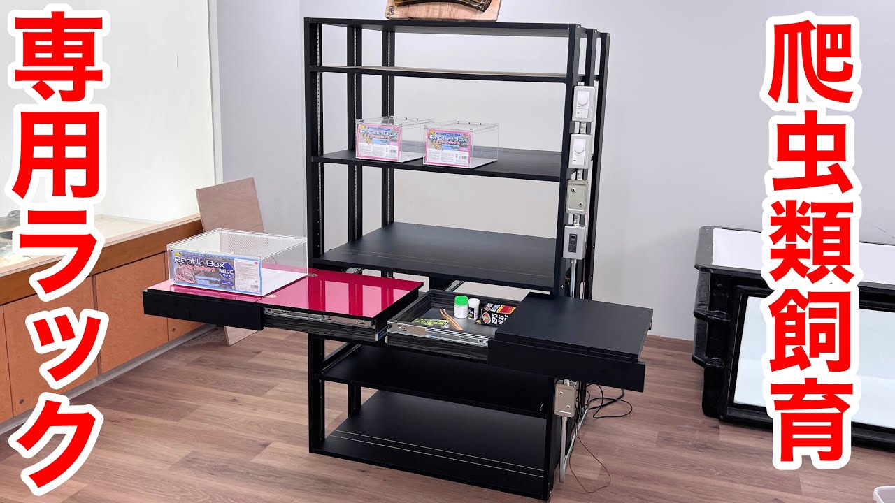 The dedicated shelf made by craftsmen for reptile breeding was too