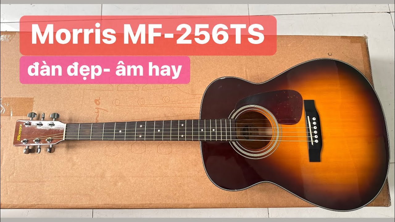 モーリス アコースティックギターMF-256 お取置中MORRIS MF-256 TS
