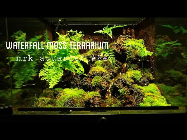 滝の流れるイモリウムを作る【part84】 グラステラリウム3030 【溶岩石