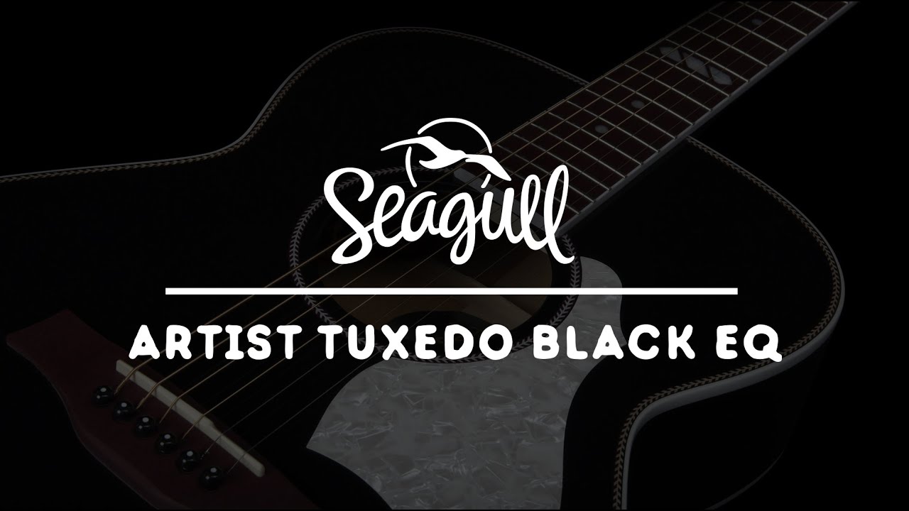 Seagull Artist Tuxedo Black EQ - YouTube