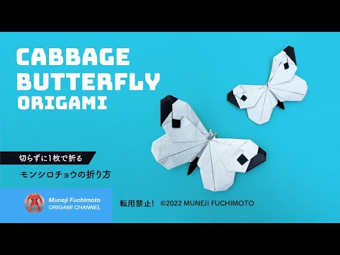 折り紙」モンシロチョウ（cabbage butterfly）の折り方 - YouTube