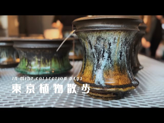 作家鉢の展示会レポート】東京植物散歩 大人気作家鉢カタチ製作所が