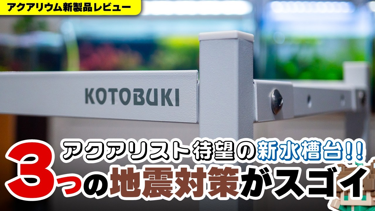 Strong against earthquakes! Introducing a two-tier steel aquarium