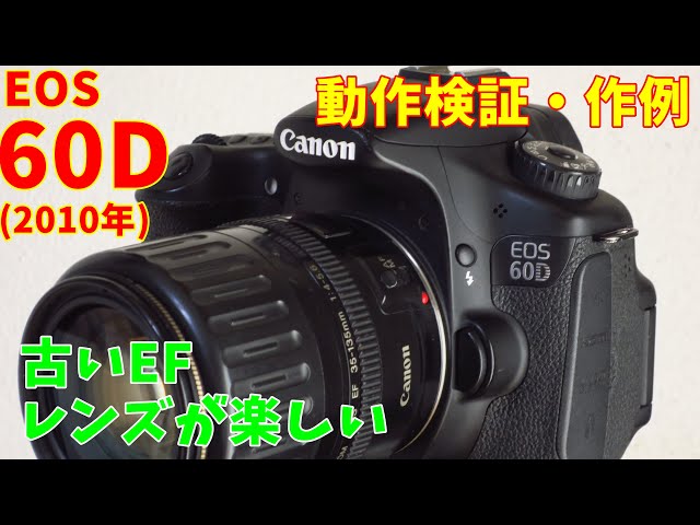 Released in 2010] I bought a Canon EOS 60D. It's fun to pair it