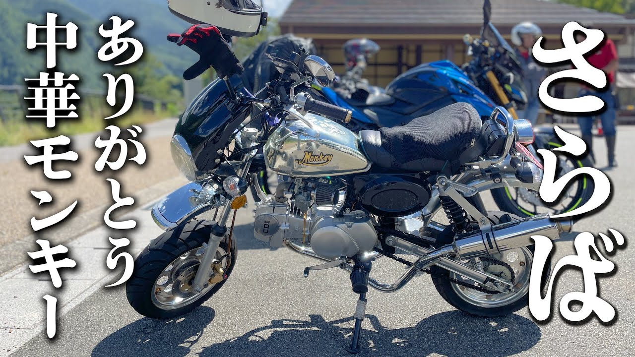 さらば中華モンキーちゃん。。。からの、中華モリラ爆誕!!/ゴリラ