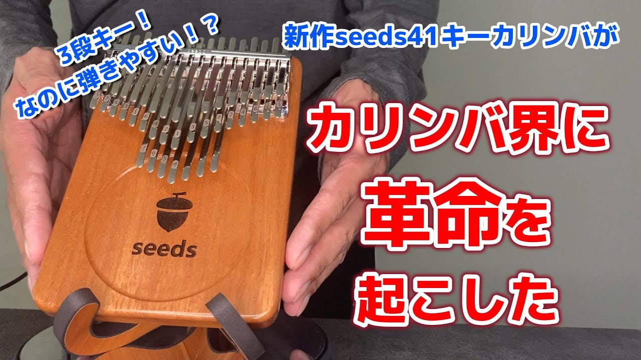 概要欄に補足あり【これを待っていた】新作 seeds 41キー カリンバを