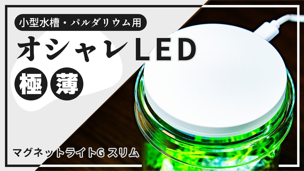 ADA DOOA 新商品】マグネットライトGスリム スペック・使い方を紹介