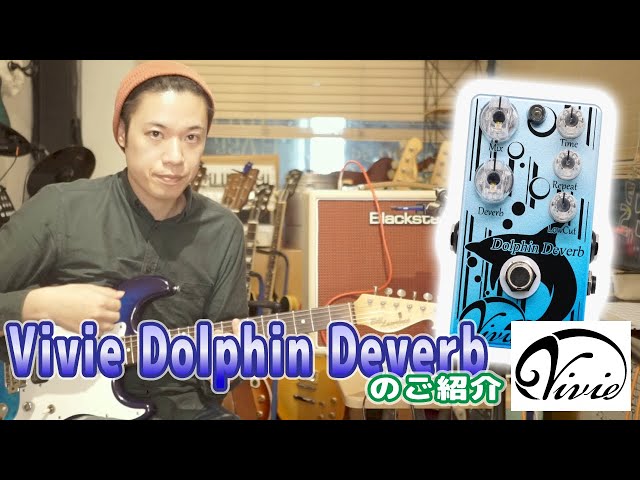 ギターレッスン【Vivie Dolphin Deverbのご紹介】 - YouTube
