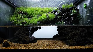 Re.【アカハライモリのイモリウム】立ち上げ/vivarium,paludarium