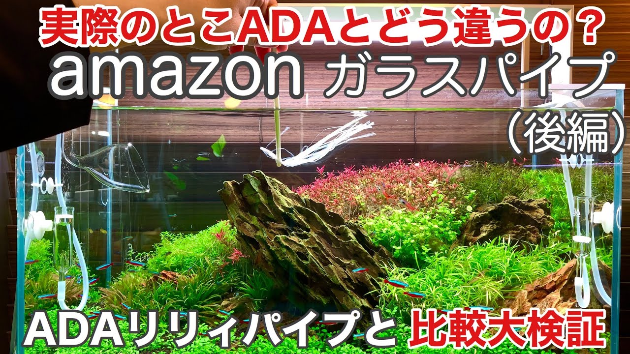 水草水槽用品比較レビュー】amazonのガラスパイプとADAリリィパイプを