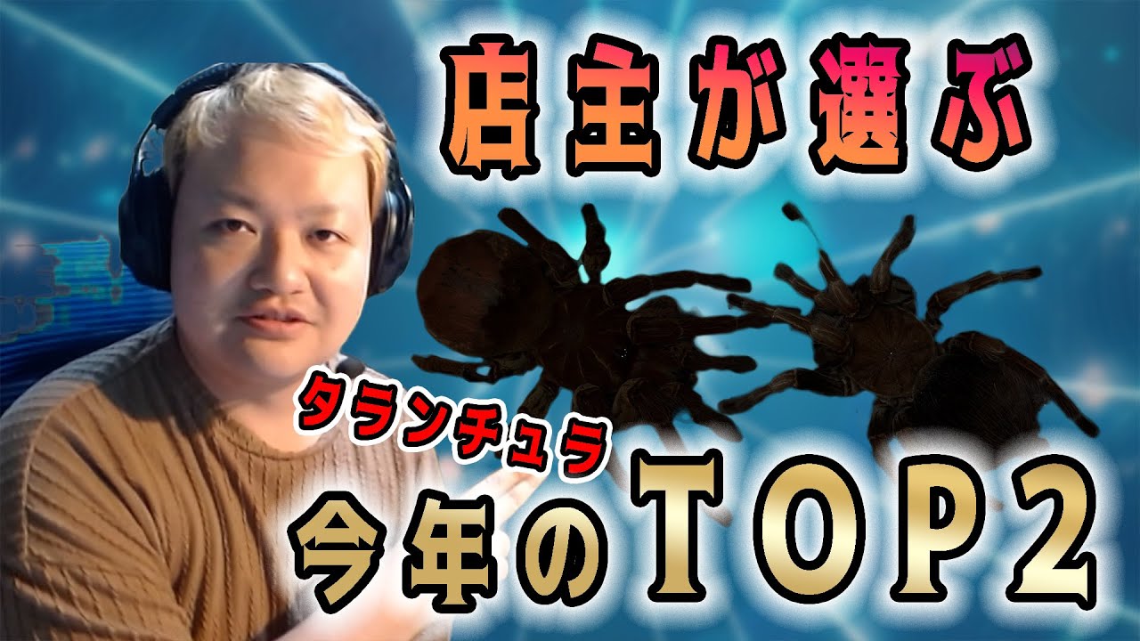 Shopkeeper's Choice] Top 2 Favorite Tarantulas of the Year