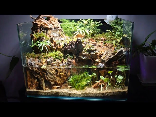 Aqua terrarium production with waterfall, river, and underwater