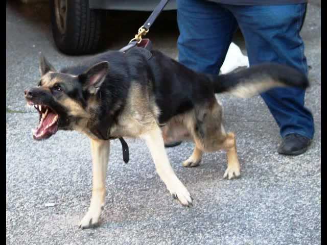 THE CLASH - Bankrobber - YouTube